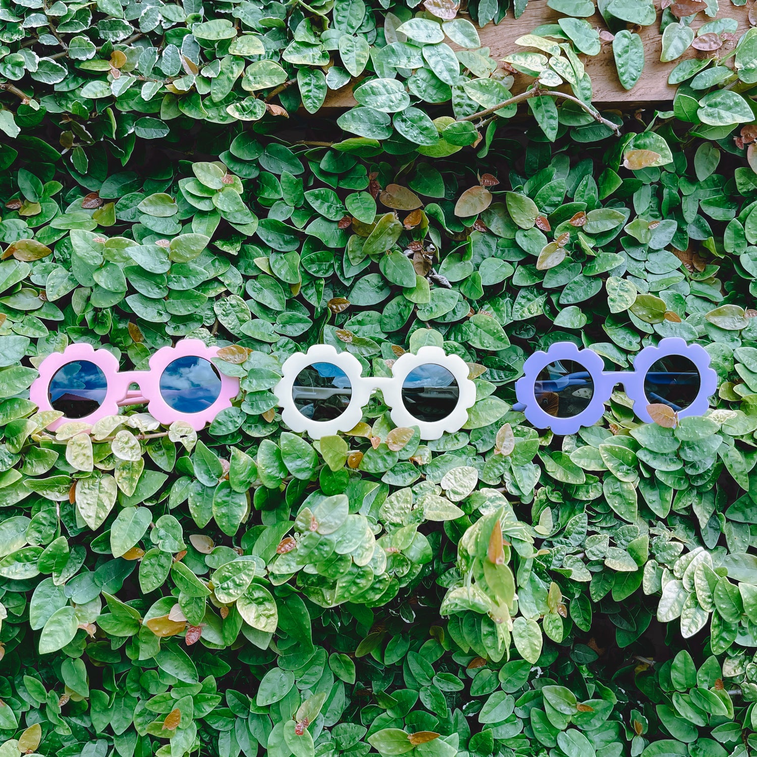 Blossom Kids Sunglass